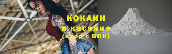 ПСИЛОЦИБИНОВЫЕ ГРИБЫ Медвежьегорск