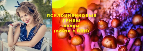 прущие крисы Мегион