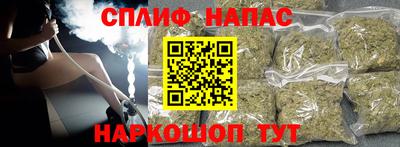 СК Кингисепп