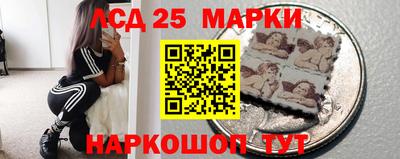 СК Кингисепп