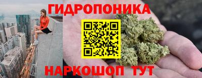 СК Кингисепп