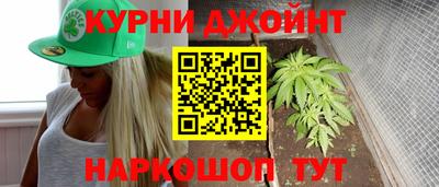 СК Кингисепп
