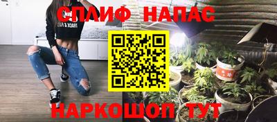 СК Кингисепп