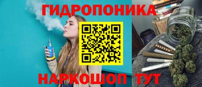 гидропоника Кинель