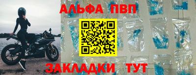 СК Кингисепп