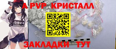 СК Кингисепп
