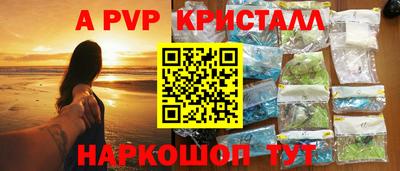 СК Кингисепп
