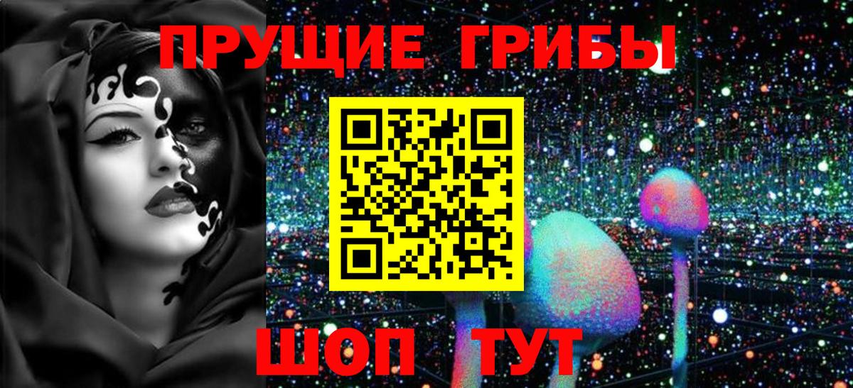 Краснодар  Галлюциногенные грибы Psilocybine cubensis  Вход с VPN 