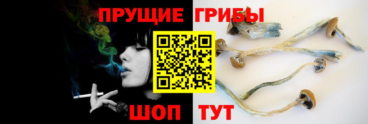 Галлюциногенные грибы Cubensis Краснодар
